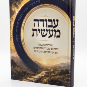 עבודה מעשית